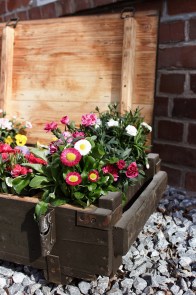 IMG_7800 (Groß)8